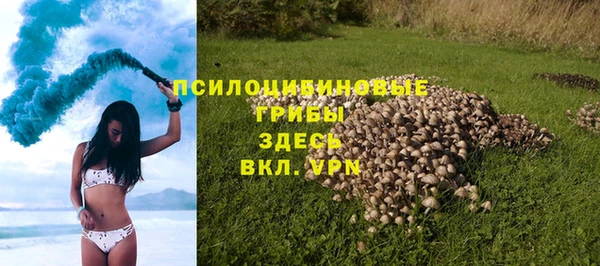 стафф Заводоуковск